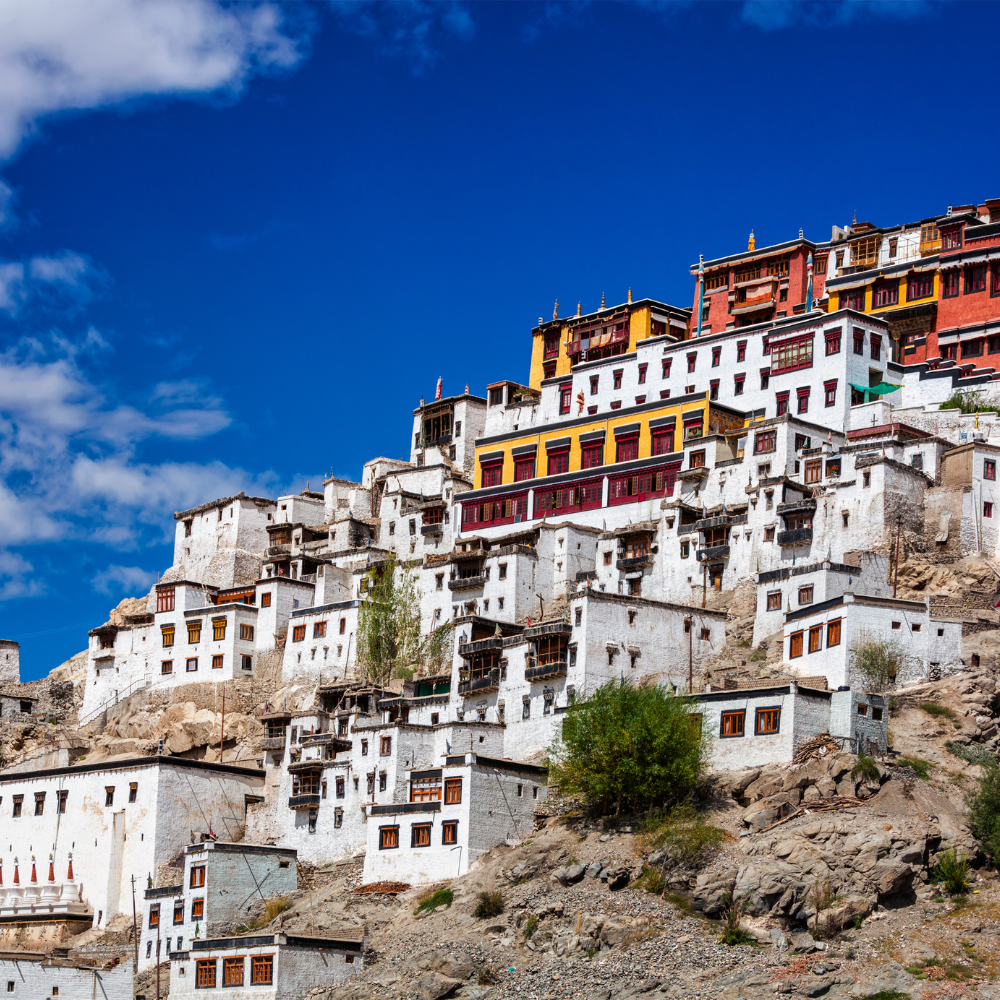 5N/6D | Ladakh Quick Tour | Al Kubra Travels