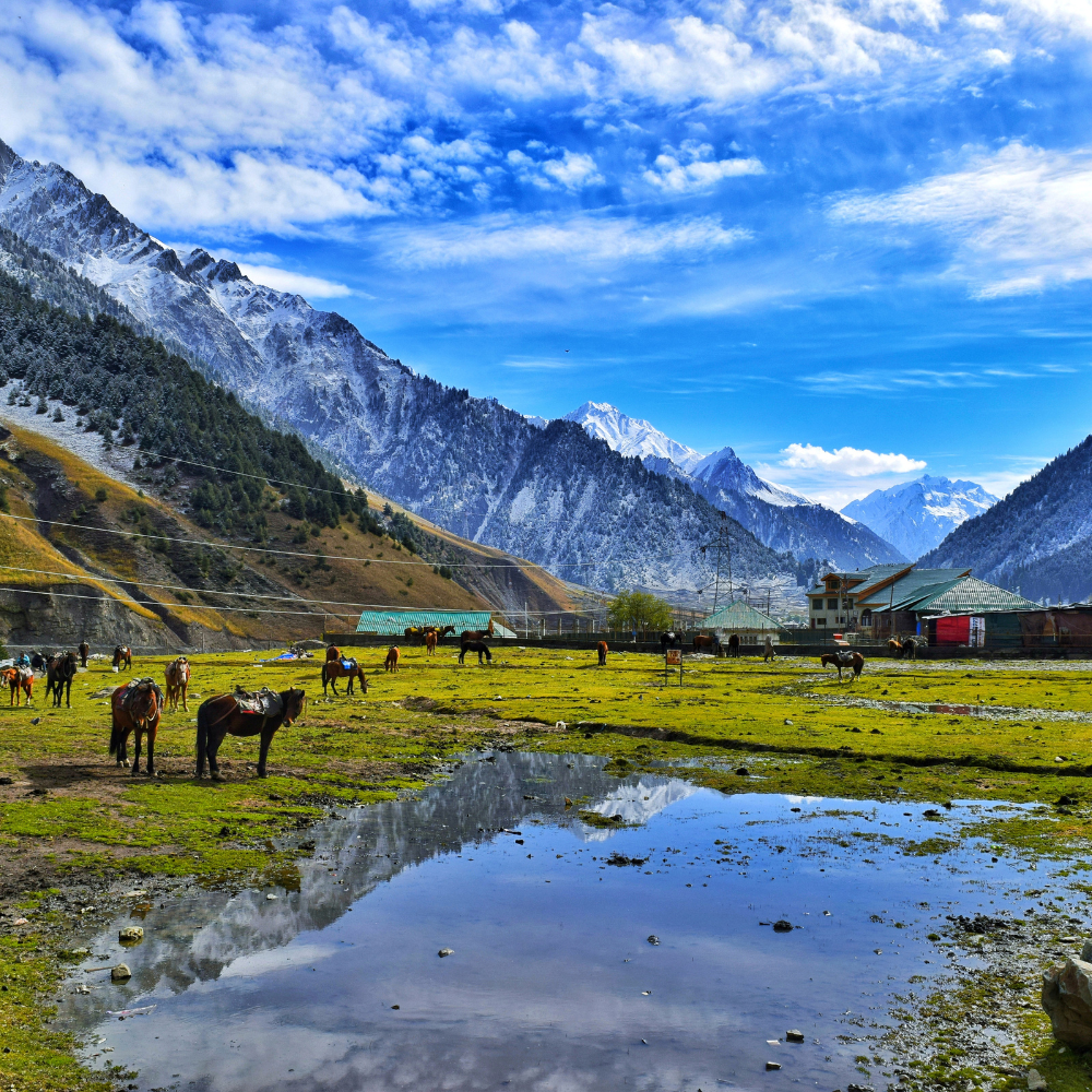 4N/5D Readymade Kashmir Trip | Green Kashmir