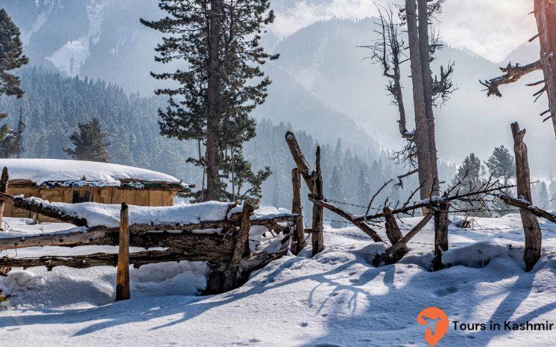 Pahalgam in winter