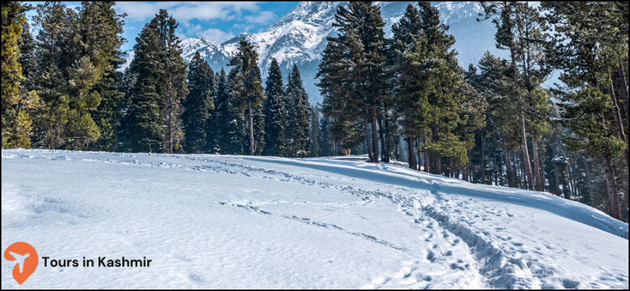 snow in pahalgam