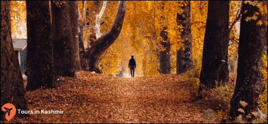 autumn in kashmir